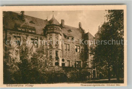 43344064 Alzey Schloss Ruine Finanzamtgebaeude Erbaut 1904 Alzey - Alzey