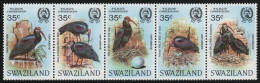 Swaziland 1984 - Mi-Nr. 449-453 ** - MNH - Vögel / Birds - Swaziland (1968-...)