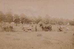 Scène Agricole , Agriculture * Photo Albuminée Circa Vers 1900 * Machines Agricoles Attelages * 12.4x8.4cm - Cultivation
