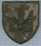 UKRAINE/ Patch Abzeichen Parche Ecusson / 129 Separate Reconnaissance Battalion Rus Invasion War. Velcro - Ecussons Tissu