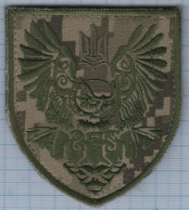 UKRAINE/ Patch Abzeichen Parche Ecusson / 74th Separate Reconnaissance Battalion Rus Invasion War. Velcro - Ecussons Tissu