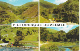 SCENES FROM AROUND DOVEDALE, DERBYSHIRE, ENGLAND. UNUSED POSTCARD   Wa9 - Derbyshire