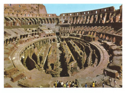 ITALIA • ROMA • INTERNO COLOSSEO - Colosseum