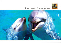 1-12-2023 (1 W 4) Australia - Dauphin / Dolphin - Delphine