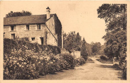 VAL D'OISE  95  BOISSY L'AILLERIE - "L'OISEAU BLEU" MAISON DE VACANCES DE L'U.C.J.F. ( PARIS ) - LA GRANDE ALLEE - Boissy-l'Aillerie