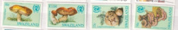 SWAZILAND  MNH 1984  Flore  Champignons - Swaziland (1968-...)