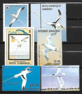 Family TROPICBIRDS - 6x MNH ** : 6x White-tailed Tropicbird (Phaeton Lepturus) - Palmípedos Marinos