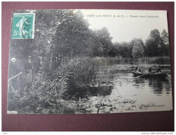 91 Vert Le Petit Marais Chez Lanquetin Pêche Pêcheurs - Vert-le-Petit