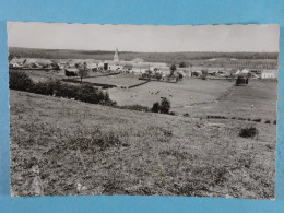 Bailièvre Vue Prise Du Sud - Chimay