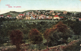 LIBAN - Badba - Vue Générale - Carte Postale Ancienne - Lebanon