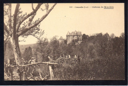 46 CAZALS - Chateau De Moncléra - Cazals