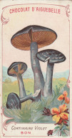 CORTINAIRE VIOLET  Chromo Chocolat D'Aiguebelle ( Format 10,50 X 6 ) - Mushrooms