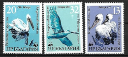 Family PELICANS :  3/4 Serie MNH ** :3x  Dalmatian Pelican (Pelecanus Crispus) - Pelikanen