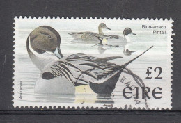 Ierland 1998 Mi Nr 1056, Vogels, Bird, Pijlstaarteend - Usados