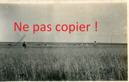 PHOTO FRANÇAISE - PANORAMA SUR BACONNES PRES DE MOURMELON LE GRAND - PRUNAY MARNE - GUERRE 1914 1918 - 1914-18