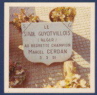 Photo Tombe De Marcel CERDAN Boxeur - Boxe