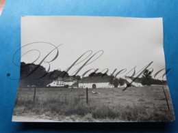 Genoelselderen Kasteel En Hoeve Boerderij Ferme Chateau Privaat Foto Opname 16/07/1973 - Tongeren