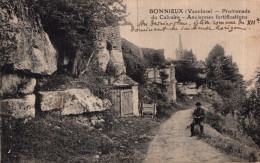 84 - BONNIEUX / PROMENADE DU CALVAIRE - ANCIENNES FORTIFICATIONS - Bonnieux