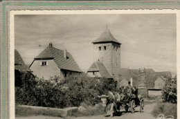 CPSM Dentelée (67) DAMBACH-la-VILLE - Aspect De L'attelage Avec Boeuf à La Porte De Dieffenthal En 1954 - Dambach-la-ville