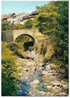 74 La Roche Sur Foron - Le Petit Pont - La Roche-sur-Foron