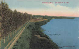 FRANCE - Briare - Les Bords De La Loire - Colorisé - Carte Postale Ancienne - Briare