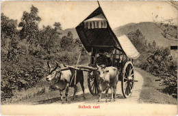 PC SINGAPORE, BULLOCK CART, VINTAGE POSTCARD (b1810) - Singapour