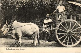 PC MALAYSIA, BULLOCK-CART AND DRIVER, VINTAGE POSTCARD (b1612) - Malaysia