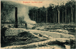 PC SINGAPORE, TINE MINE IN PERAK, VINTAGE POSTCARD (b1312) - Singapour