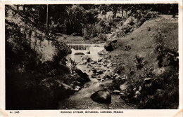 PC MALAYSIA, PENANG, BOTANICAL GARDENS, VINTAGE REAL PHOTO POSTCARD (b985) - Malaysia