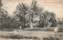 TUNISIE - Gabès - Culture Du Tabac Dans L'Oasis - Carte Postale Ancienne - Tunesië