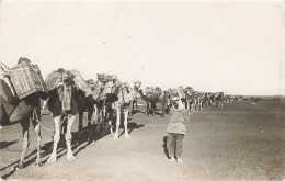 ASIE - Un Nomade Avec Des Dromadaires Dans Le Desert - Carte Postale Ancienne - Autres & Non Classés