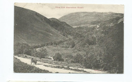 Devon Old Manaton Road Used Posted Newton Abbot 1904 - Dartmoor