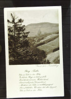 DR: AK Vom Inselsberg Schmalkalden Vom 26.9.1925 Mit 5 Pf. Rheinland Knr.: 372 - Schmalkalden