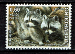 Luxembourg 2003 - YT 1573 - Faune, Fauna, Raton Laveur, Waschbär, Racoon, Wasbeer - Gebruikt