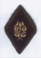 Insigne Losange De Bras Du Service De Santé Aux Armées - Ecussons Tissu