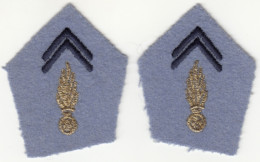 Pattes De Col D'Officier Du Service Du Matériel - Ecussons Tissu