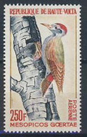 MDB-BK1-561-2 MINT ¤ HAUTE-VOLTA 1964 1w In Serie ¤  - OISEAUX DU MONDE - BIRDS - AVES - VOGELS - VÖGEL - - Specht- & Bartvögel