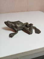 Grenouille En Bronze XIXème 13 Cm X 9 Cm Signé - Bronzes