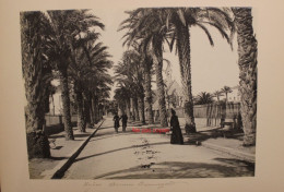 Lot 2 Photo 1890's Hyères Avenue Beauregard Fontaine Godillot Var (83)  Tirage Print Vintage - Plaatsen