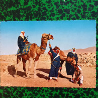 CPM Jordanie  Camels  Drivers Chameliers - Jordania