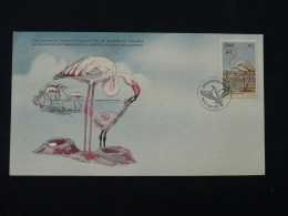 Carte Maximum Card Flamant Rose Pink Flamingo South West Africa 1979 - Flamingo's
