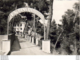 D06  SCLOS DE CONTES  La Pinède  Maison De Repos Pour Convalescents - Contes