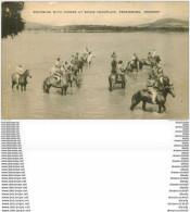 ETATS UNIS. Vermont. Swimming With Horses At Ecole Champlain. Ferrisburg - Other & Unclassified