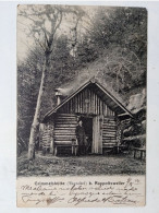 0948 Rappoltsweiler, Grimmelshütte (Täunchel) (1904) - Elsass