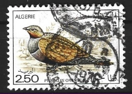 ALGERIE. N°638 De 1976 Oblitéré. Ganga. - Pigeons & Columbiformes