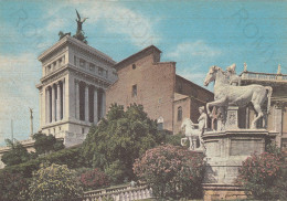 CARTOLINA  ROMA,LAZIO-VEDUTA DAL CAMPIDOGLIO-STORIA,MEMORIA,CULTURA,RELIGIONE,IMPERO ROMANO,BELLA ITALIA,NON VIAGGIATA - Viste Panoramiche, Panorama