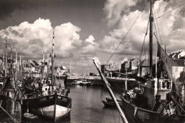 Port En Bessin - Vue Sur Le Port - Bateaux De Pêche - Port-en-Bessin-Huppain