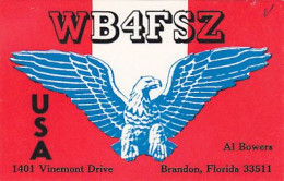 AK 183568 QSL - USA - Florida - Brandon - Radio Amateur