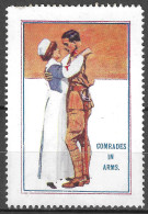 1914- 1918 DELANDRE VIGNETTE WW1 GREAT BRITAIN GB Cinderella Vignette ERINNOFILO COMRADES IN ARMS NURSE SOLDIER - Militares