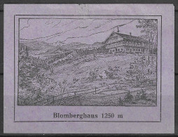 GERMANY Bad Tolz Blomberghaus 1250 M VIGNETTE CINDERELLA Reklamemarke POSTER STAMP SEAL BIG  6 X 8 CM - Erinnofilia